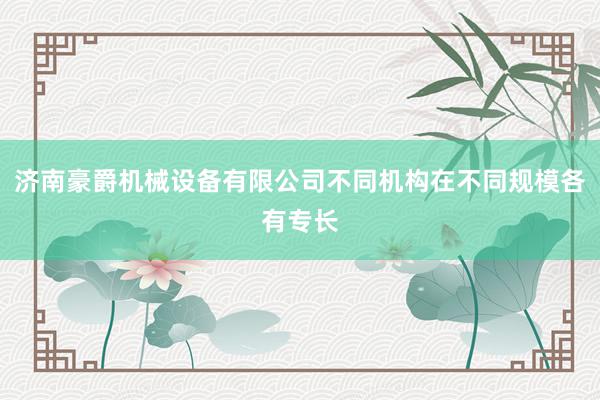 济南豪爵机械设备有限公司不同机构在不同规模各有专长