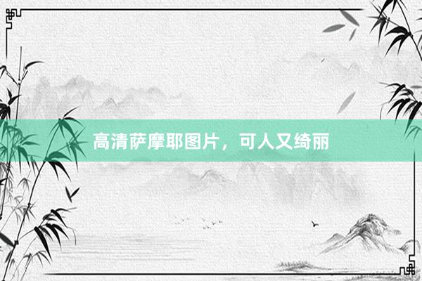 高清萨摩耶图片，可人又绮丽