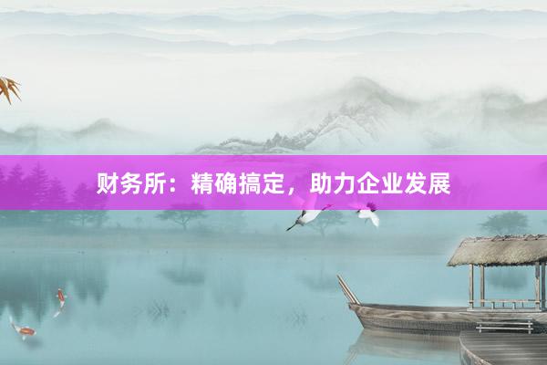 财务所：精确搞定，助力企业发展